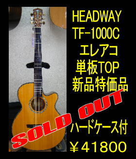 Heaway-TF1000C