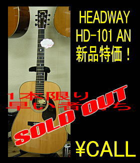 HD-101AN